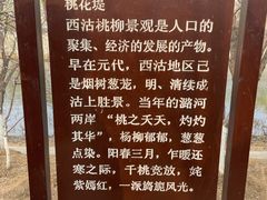 -桃花堤公园