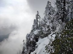 -瓦屋山景区