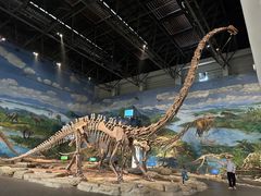 -自贡恐龙博物馆