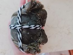 -七的湖·晚芳亭·阳澄湖农家菜·大闸蟹(莲花岛店)