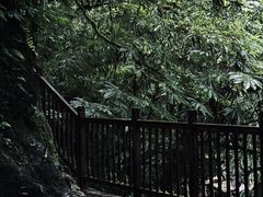 -瓦屋山景区