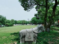 -雨花胜境