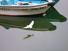 -龙舟池