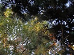 -辽宁大学(崇山校区)