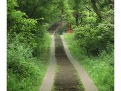 -青龙山国家森林公园