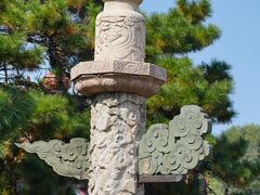 -北陵公园