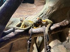 -波塞冬旅游度假区