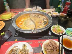 -牛New寿喜烧(虹桥新天地店)