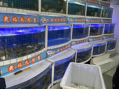 -黄记大闸蟹专卖店·活蟹·醉蟹