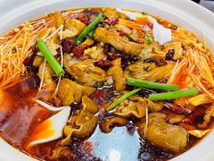 -川大刘肥肠鸡(北国店)