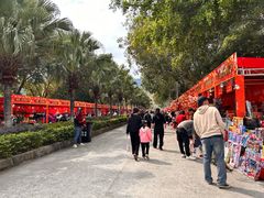 -风云岭森林公园