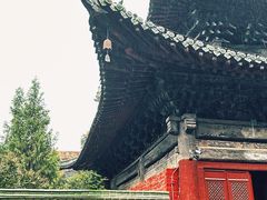 -报恩寺(平武县)