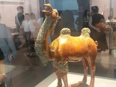 -贵州省博物馆(新馆)