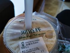 -沏佰杯(金元宝店)