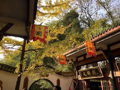 -青城山
