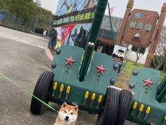 -上海海湾国家森林公园