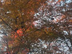 -云龙山