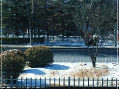 -大兴滨河森林公园