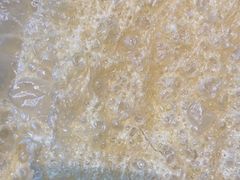 -南门四季铜锅涮肉(大屯·北苑店)