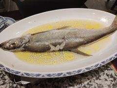 鸡汁长江白鱼-南京大牌档(凯德大峡谷店)