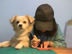 -零几体验diy皮具工作室(振业城店)