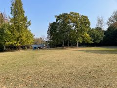 -上海滨江森林公园