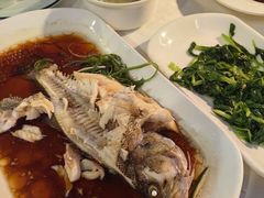 -云中小雅