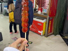-和禄德冰糖葫芦