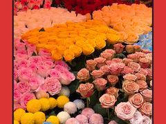 -越秀西湖花市(广州城市广场花卉店)