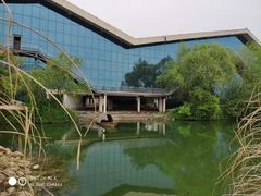 -鄱阳湖国家湿地公园