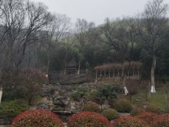 -东庐山观音寺
