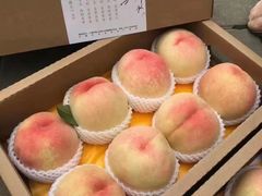 -老袁家蜜桃农场·阳山水蜜桃