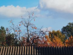 -香山公园
