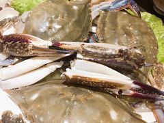 -吉友粥底火锅(方斜路店)