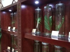-北京市昌平区中医医院