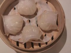 原汁鲜虾饺-利苑酒家(金宝店)