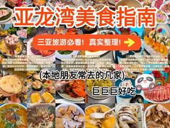 -亚龙湾站