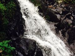 iphone_upload_pic-凤凰山国家森林公园