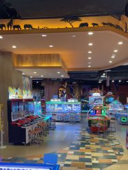 -卡通尼·Safari非洲探索乐园·生日会(金桥国际商业广场店)