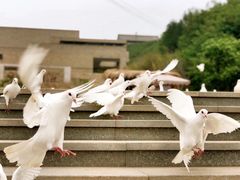 -白鹿原影视城