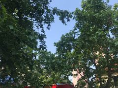 -王记西鎮电烤肉(汶上路店)