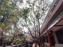 -宝墨园景区