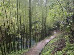 -云碧峰国家森林公园