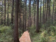 -芦芽山旅游度假区