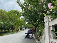 -石湖景区
