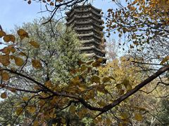 -博雅塔