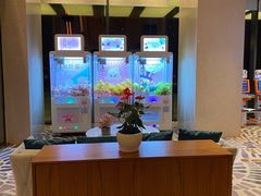 -苏州太湖假日酒店