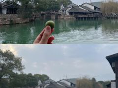 -乌镇西栅景区