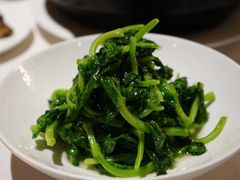 高山豆苗-南麓·浙里(外滩店)