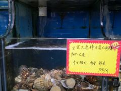 水产区-蚝专家(北滘店)